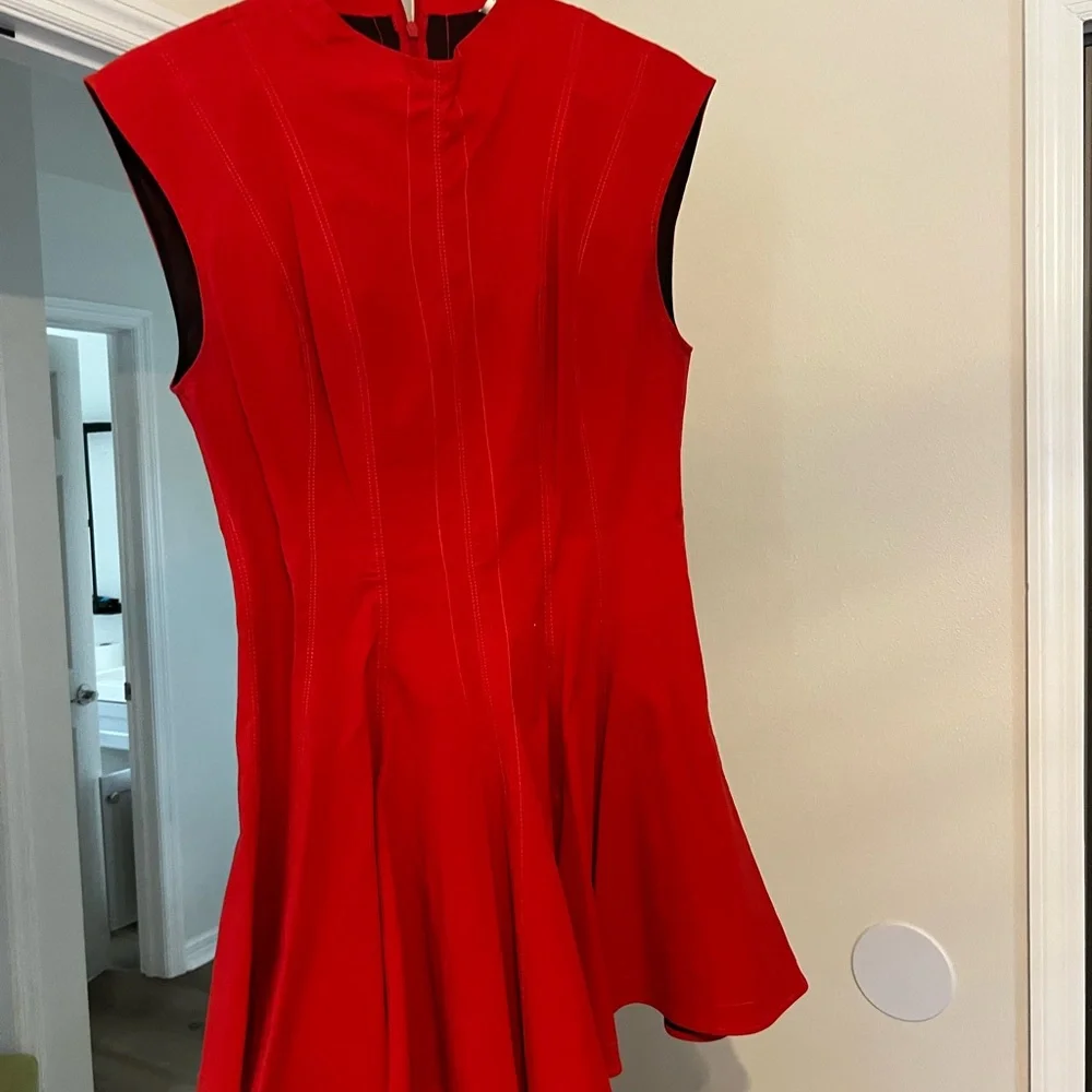 Zara Vibrant Red Mini Dress - Picture 1 of 5
